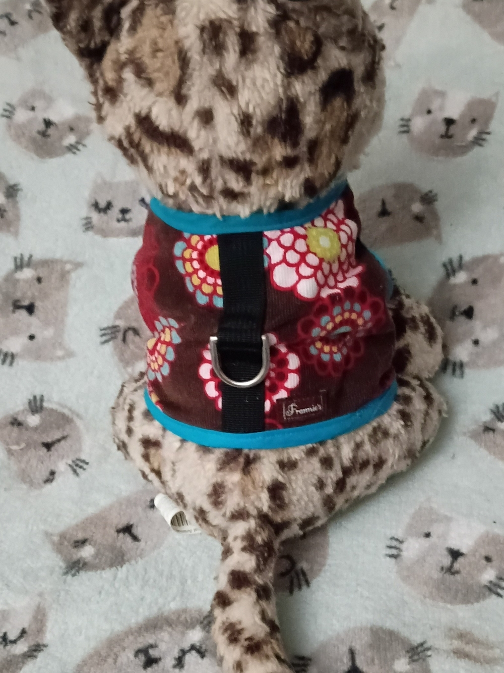 Premium Floral Dog Harness Vest with Blue Trim